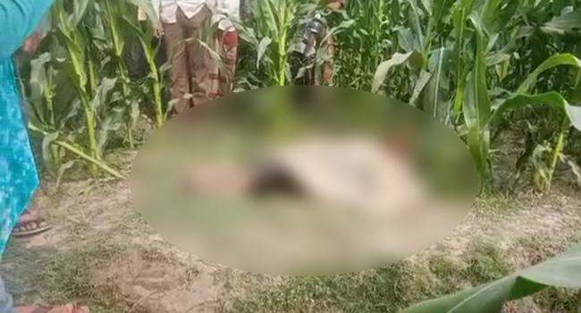 রংপুরে বজ্রপাতে নারীর মৃত্যু