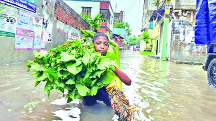 ভারী বৃষ্টিতে জলাবদ্ধতা ৪ জেলা বন্যার ঝুঁকিতে