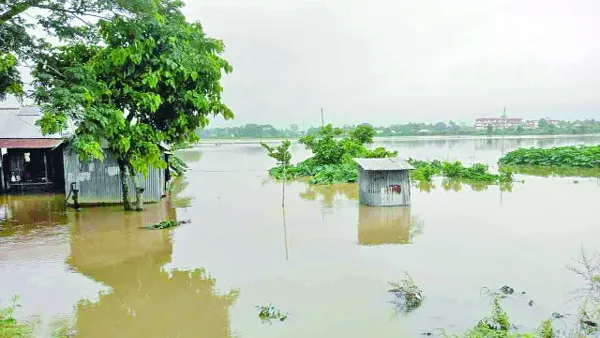 ১১ জেলায় বানের পানি