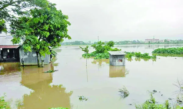 ১১ জেলায় বানের পানি