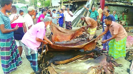 এবারো হতাশা চামড়া নিয়ে