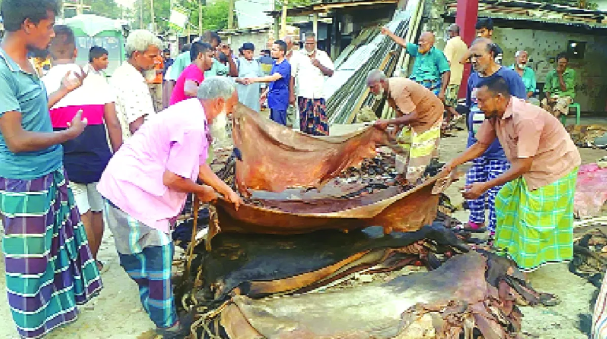 এবারো হতাশা চামড়া নিয়ে
