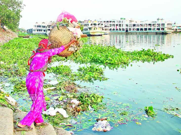 বিশ্ব পরিবেশ দিবস আজ