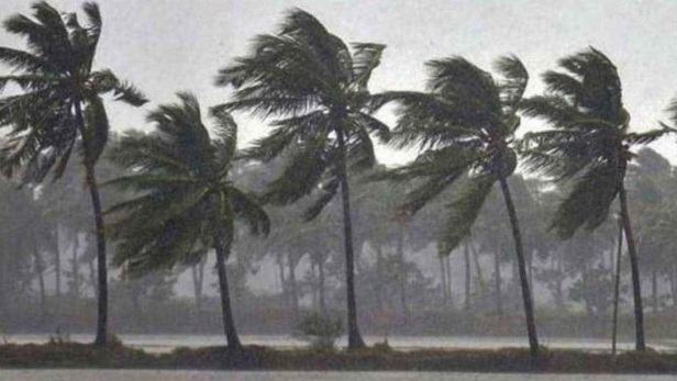 Rain