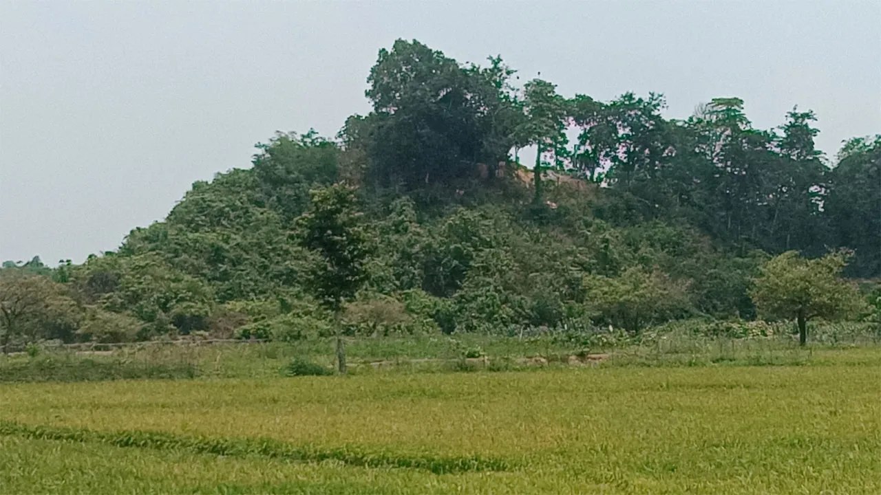 মিয়ানমারের ছোড়া গুলিতে ২ বাংলাদেশী আহত