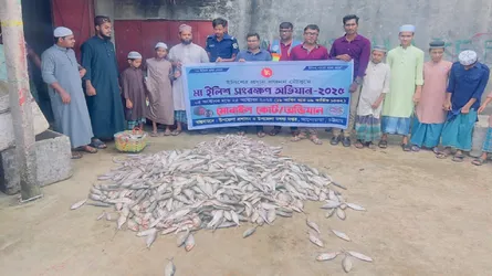 আনোয়ারায় মা-ইলিশ রক্ষা অভিযানে ২১৫ কেজি ইলিশ জব্দ