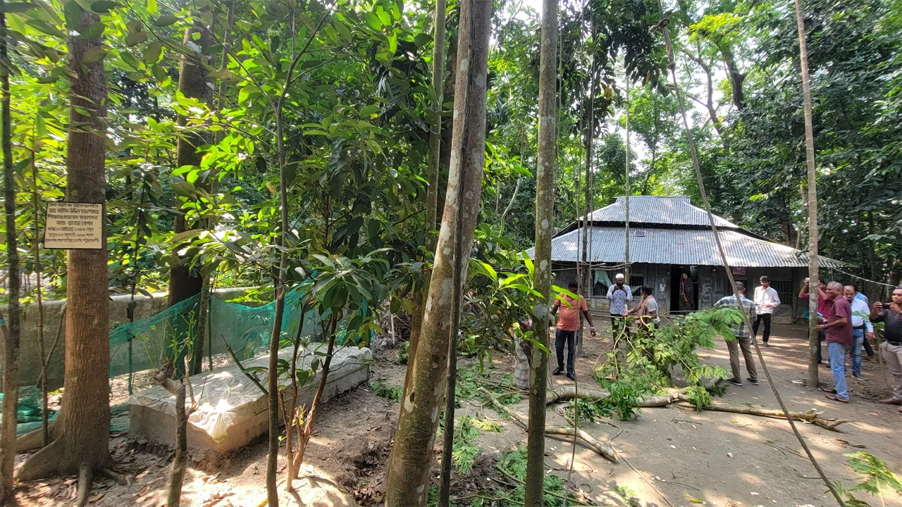 বাবার কবরের পাশে শায়িত হবেন শহীদ জসিমের মেয়ে লামিয়া