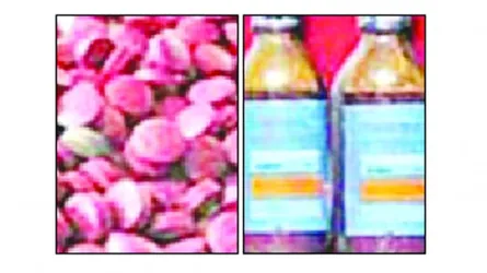 অভিযানের মধ্যেও থেমে নেই মাদক কারবার