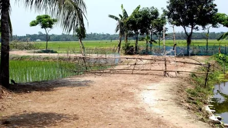 চান্দিনায় এলজিইডি’র নির্মাণাধীন সড়কে বেড়া : দুই পরিবার অবরুদ্ধ