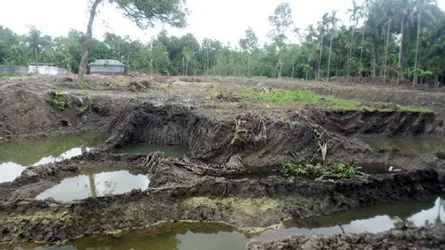 আছিরুদ্দিন মৃধা ওয়াকফ স্টেট থেকে মাটি ও গাছ কাটার অভিযোগ