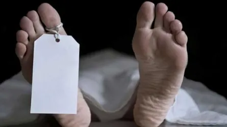 শ্বশুর বাড়ি থেকে লাশ হয়ে ফিরলেন মামুন