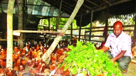 মিশ্র খামার করে স্বাবলম্বী আব্দুল হালিম খান