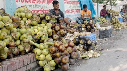 গরমে স্বস্তি তালের শাসঁ