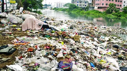 প্লাস্টিক-দূষণে বছরে ১০ লাখ প্রাণীর মৃত্যু
