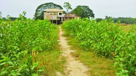 জামালগঞ্জে কর্মসৃজন প্রকল্পের  বেশির ভাগ বরাদ্দ আত্মসাৎ