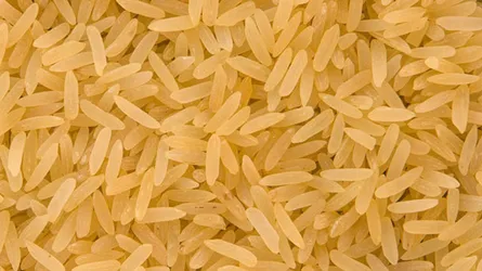 চালে সিসা : ভয়ঙ্কর বিপদ