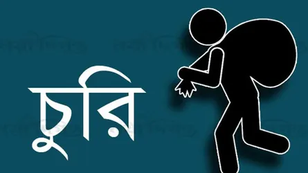 গভীর রাতে আম পেড়ে নিল রাবি ছাত্রলীগ