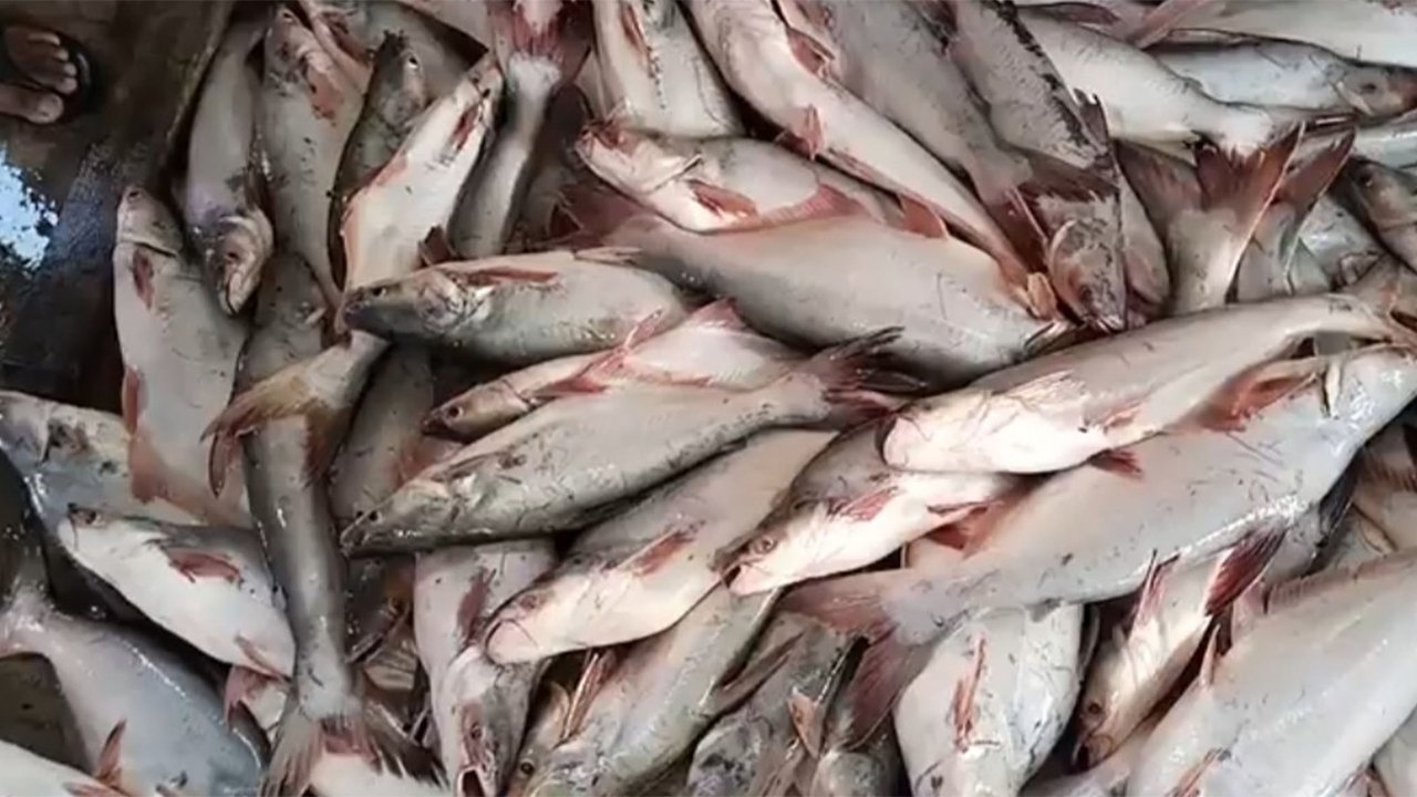 323
