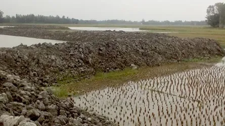 বিলের জমি দখল করে পুকুর খনন