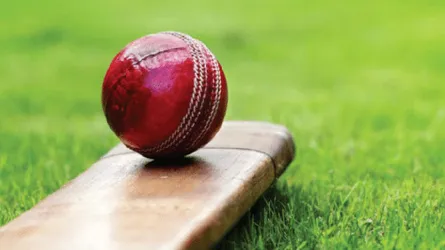 ক্রিকেটে রান নিতে না পারায় খুন