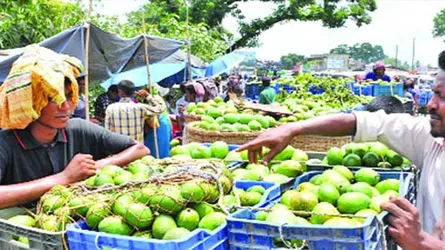 রাজশাহীর হাটবাজারে এখন আম আর আম