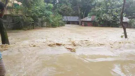 মুহুরী ও ফেনী নদীর বাঁধ ভেঙ্গে ৮০ গ্রামের মানুষ পানিবন্দি