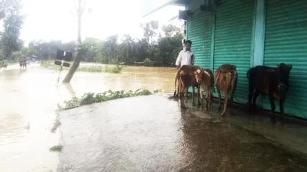 কমলগঞ্জে ৬০ হাজার মানুষ পানিবন্দি, যোগাযোগ ও বিদ্যুৎ বিচ্ছিন্ন