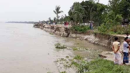 এনায়েতপুরে যমুনায় আবারো তীব্র ভাঙন