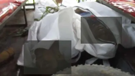 ঝিনাইদহে জড়িয়ে ধরে থাকা ২ যুবকের লাশ উদ্ধার