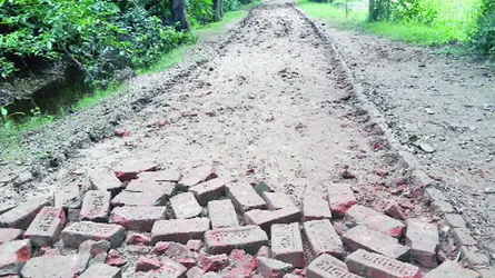 দাগনভূঞায় সড়কের ইট লুট