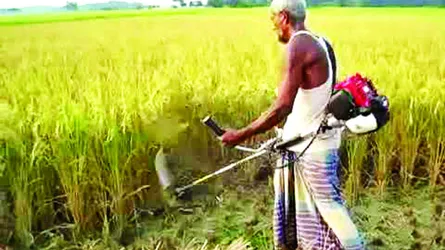 কৃষিতে যন্ত্রের ব্যবহার উৎপাদন বাড়ছে কমছে খরচ