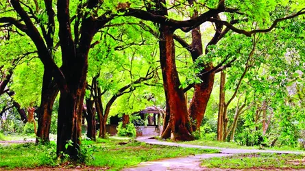 ঢাকার বুকে সমৃদ্ধ উদ্ভিদ উদ্যান