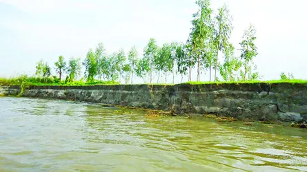 কাজিপুরে যমুনার ভাঙন অব্যাহত   উৎকণ্ঠায় নদীতীরবর্তী মানুষ