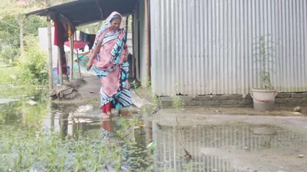 দোহার পৌরসভায় জলাবদ্ধতা নিরসনের উদ্যোগ নেই