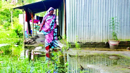 দোহার পৌরসভায় জলাবদ্ধতা নিরসনের উদ্যোগ নেই