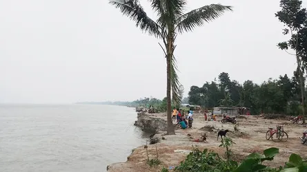 যমুনার ভাঙনে সবহারা মানুষের আর্তনাদ