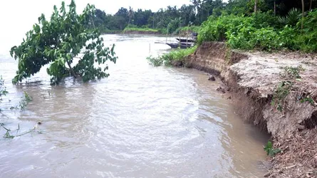 ফরিদপুরে পদ্মার ভাঙ্গনে বিলীন হচ্ছে ফসলী জমি
