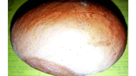 কালিগঞ্জে এক ডিমের দাম ১০০ টাকা!