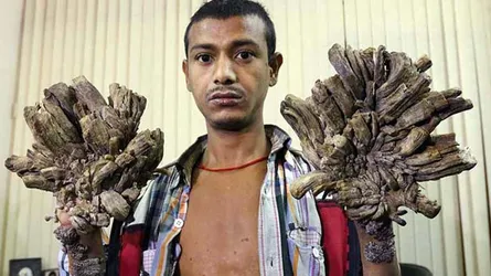 আবুল বাজনদার