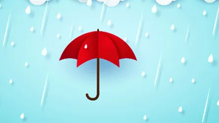 বৃষ্টি দিনের সামগ্রী রঙের ফিচার