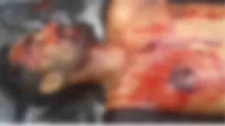 সুন্দরবনে ‘বন্দুকযুদ্ধে’ একজন নিহত
