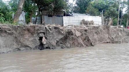 উলিপুরে দুই শতাধিক বসতবাড়ী নদীগর্ভে বিলীন