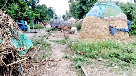 অযত্ন অবহেলায় নষ্ট হচ্ছে রেলওয়ের কোটি টাকার সম্পদ