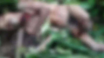 খাগড়াছড়িতে প্রতিপক্ষের গুলিতে জেএসএস কর্মী নিহত