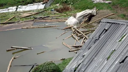 বগুড়ায় প্রতিপক্ষের হামলায় ঘরবাড়ি ভাঙচুর, ৩ নারীকে মারপিট