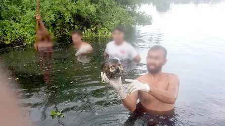 নারায়ণগঞ্জের শীতলক্ষায় আরেক ব্যবসায়ীর ৭ টুকরা লাশের খোঁজ