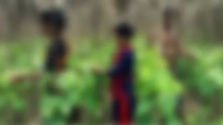 মুক্তিযোদ্ধার স্ত্রী এক-দেড়শ’ টাকা মজুরিতে কাজ করেন পানের বরজে