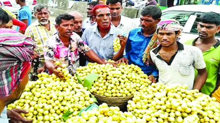 বাংলার লটকন এখন সৌদি আরবে