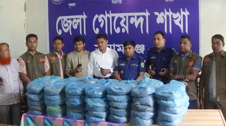 প্রায় ১৩ লাখ টাকা মূল্যের গাঁজা আটক