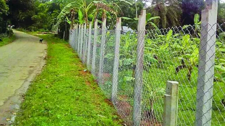 ভালুকায় কাঁটাতারের বেড়া দিয়ে বনভূমি দখলের অভিযোগ